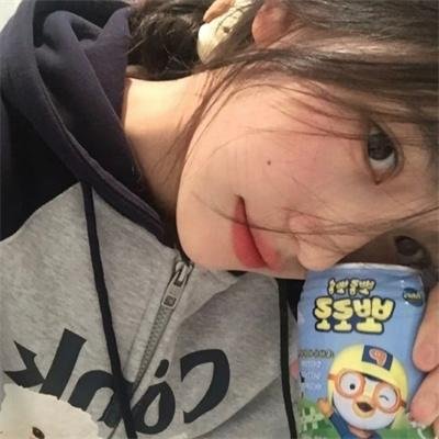 智叻狗仔队